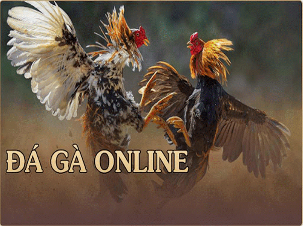 Thông tin giải đáp Game đá gà online là gì?